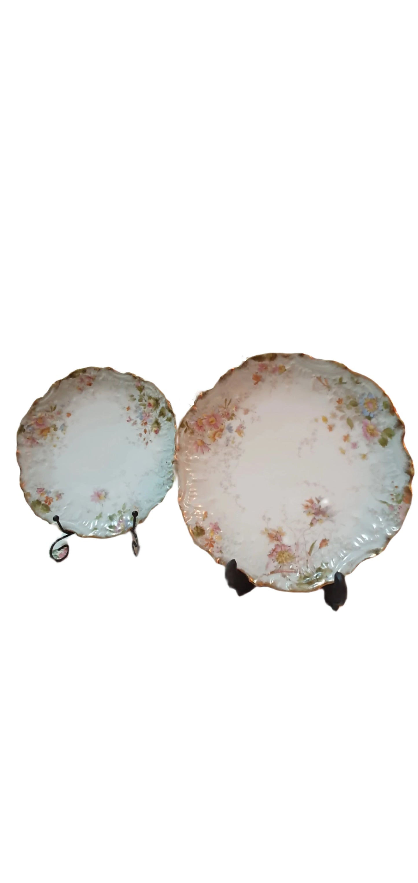 Springer & Co. Oval Bone China Plates. Elbogen (135/78)