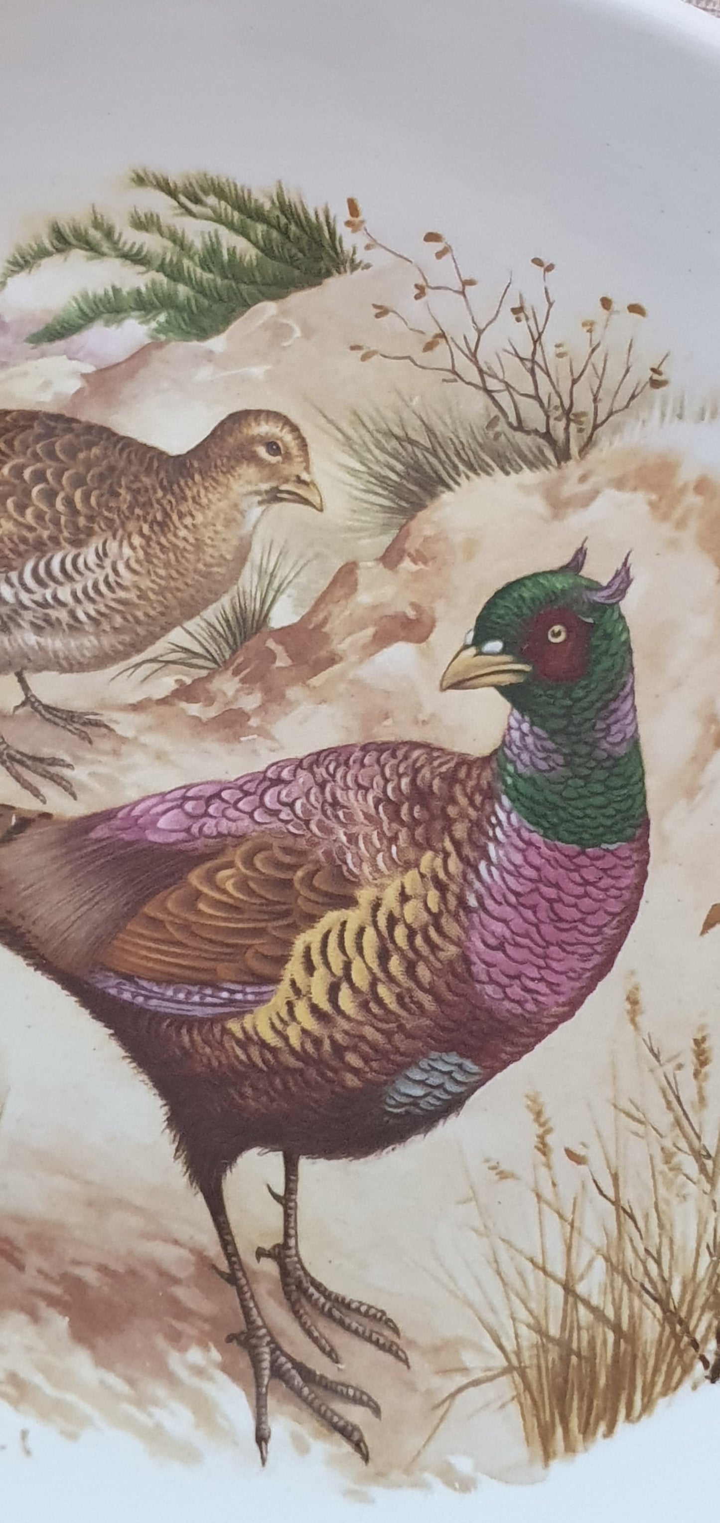 Scottish charm: Clyde Ceramics oval pheasant platter