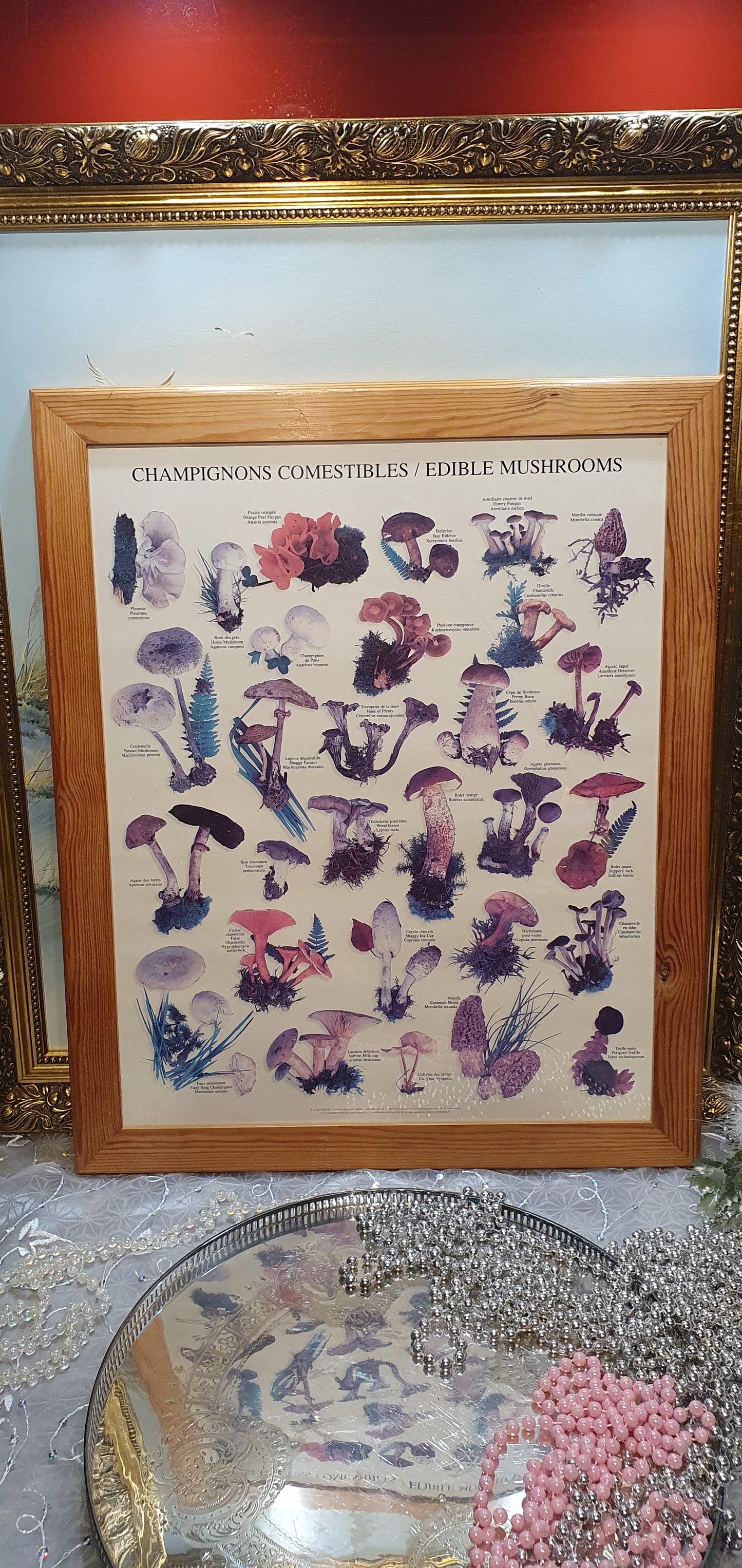 Vintage Print "Champignons Comestibles / Edible Mushrooms"