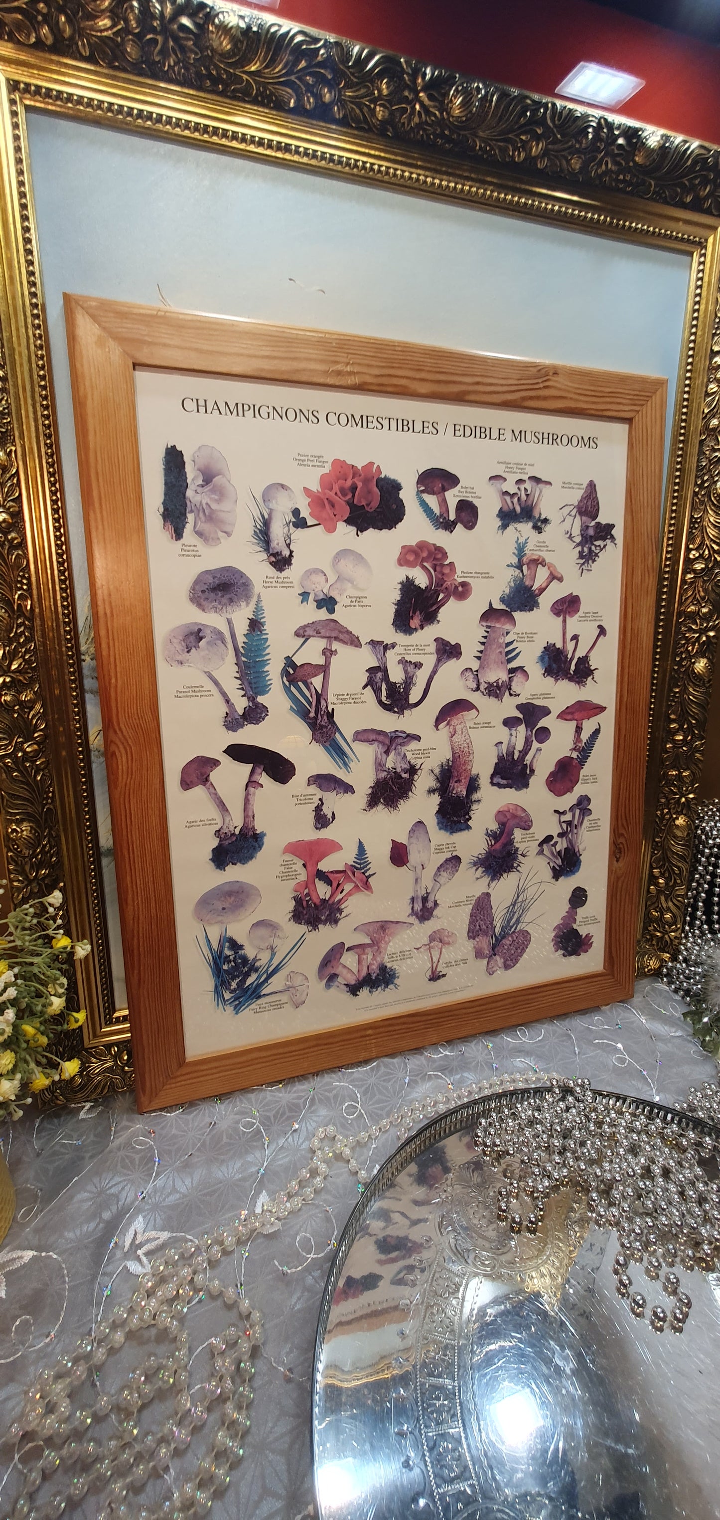 Vintage Print "Champignons Comestibles / Edible Mushrooms"