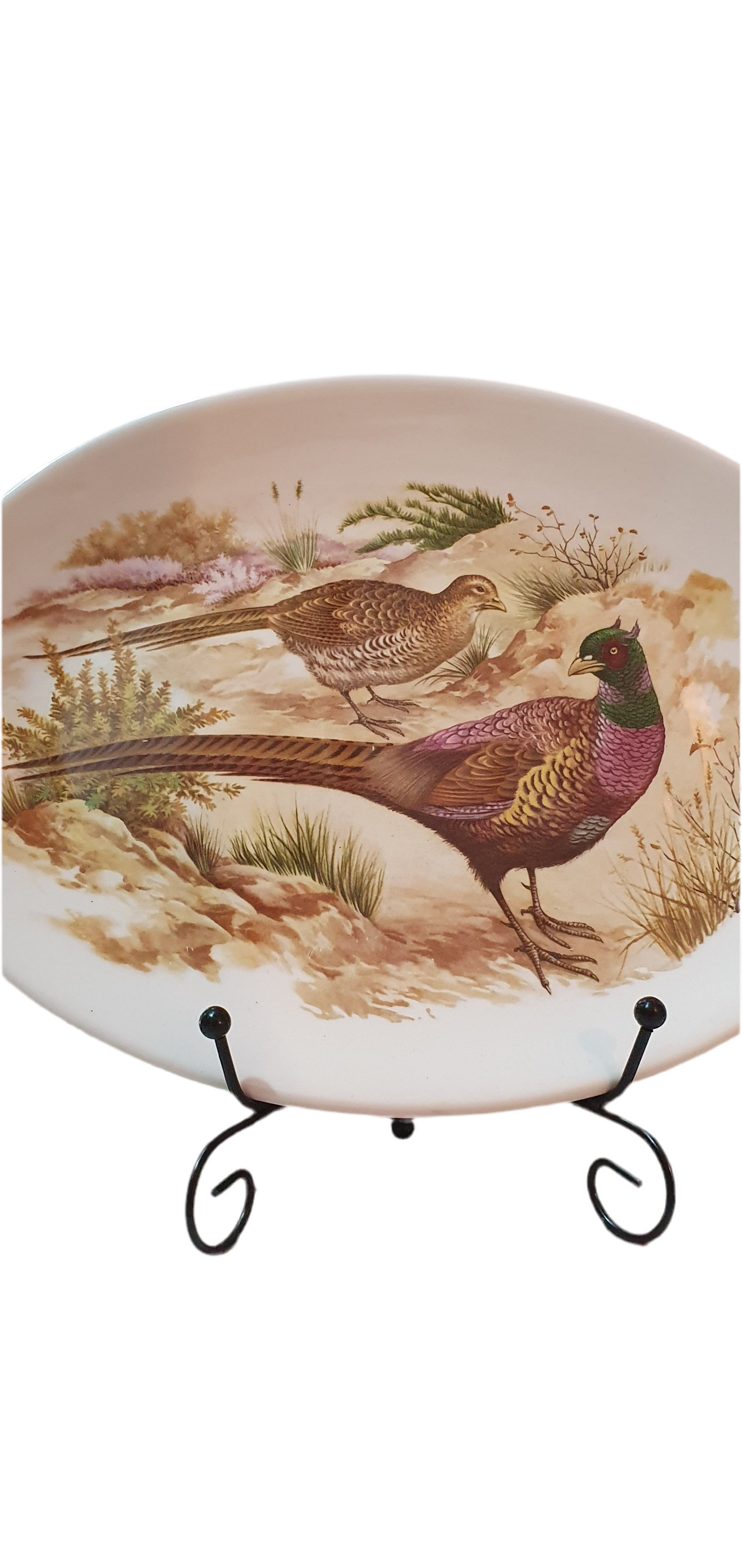 Scottish charm: Clyde Ceramics oval pheasant platter